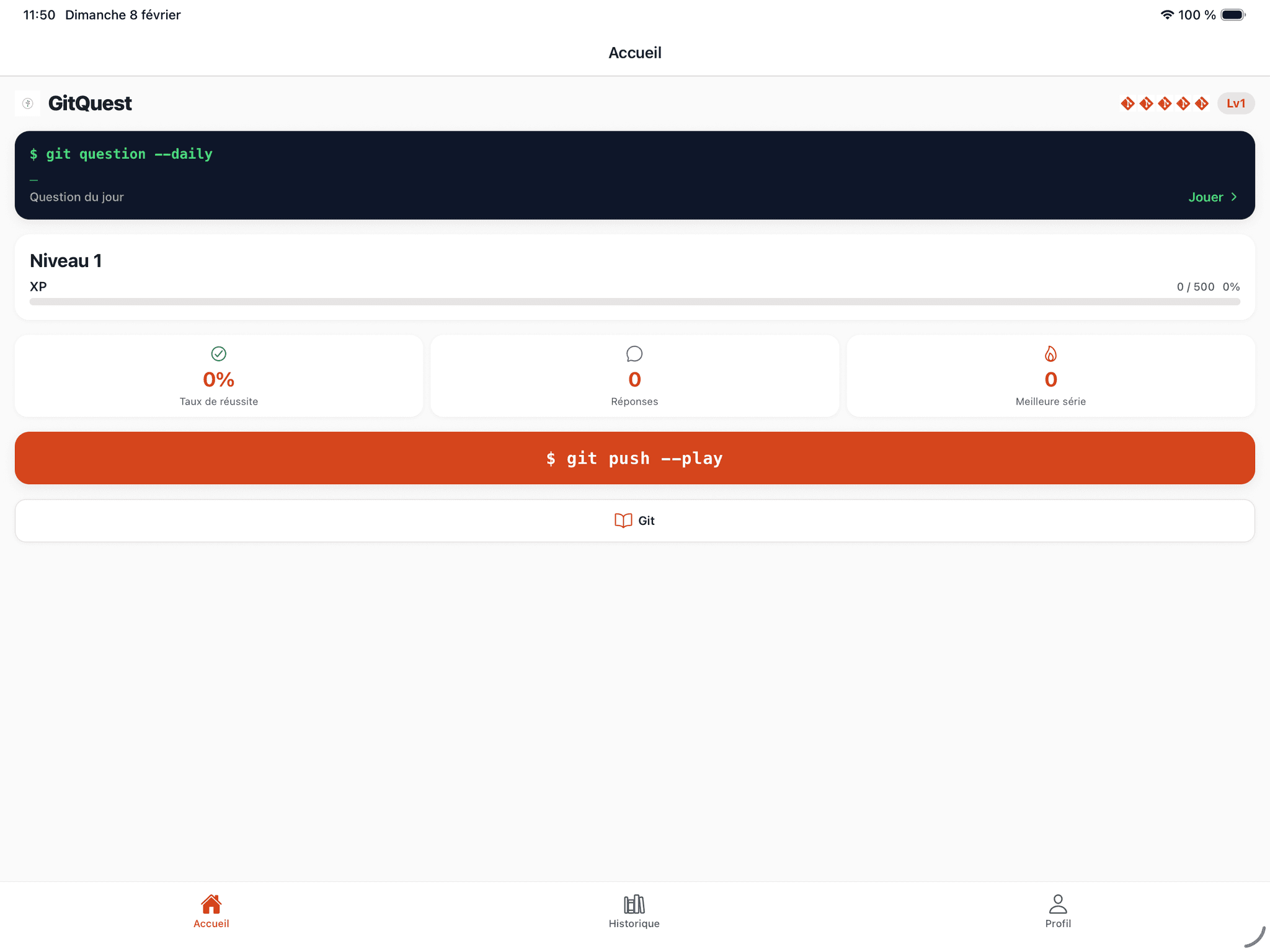 GitQuest dashboard on iPad showing progress and statistics